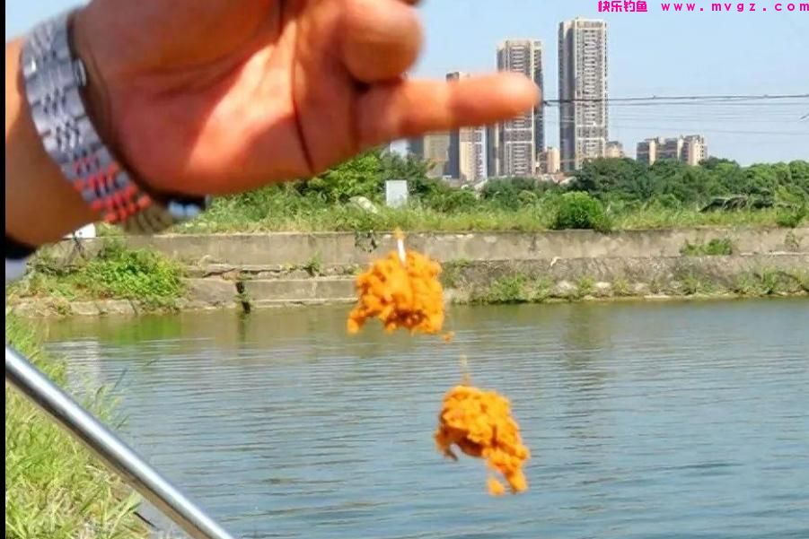 春天不要只钓鲫鱼,试试这鲢鳙钓法,中鱼率高,每次钓完都很过瘾(图2) 春天不要只钓鲫鱼,试试这鲢鳙钓法,中鱼率高,每次钓完都很过瘾(图2)