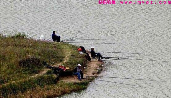桃花流水鲫鱼肥，春季钓鲫鱼，学会这3个钓法，连杆到手软(图4)