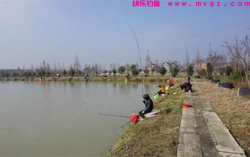春钓鲫鱼千万不要一到水边就下钓，这“3”条妙招学会轻松拉满(图3)