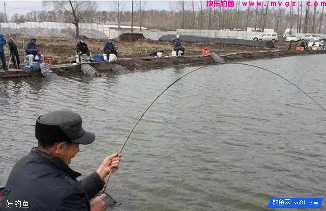 老钓手对新手钓鱼人的10个忠告(图3) 老钓手对新手钓鱼人的10个忠告(图3)