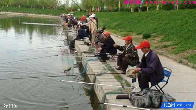 中老年钓鱼人如何提高钓技？(图1)