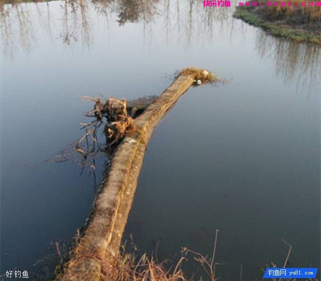 资深钓鱼人的9个钓鱼经验(图3)