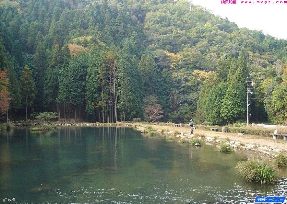 想要好渔获需记住这10个字(图1) 想要好渔获需记住这10个字(图1)