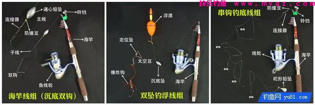 手竿、海竿、矶钓竿图解线组搭配(图3)