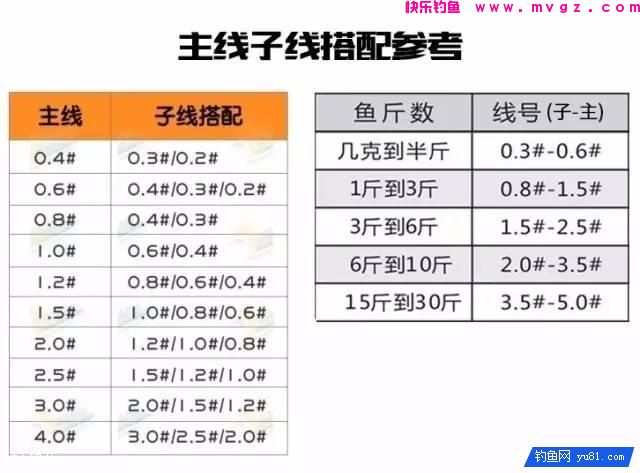 手竿、海竿、矶钓竿图解线组搭配(图1)