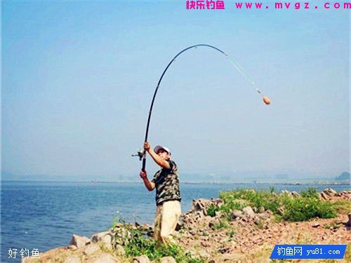 浮漂晃动提竿无鱼的3个原因(图2)