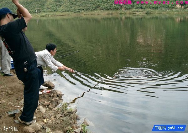 想要垂钓收获好，应知鱼识水(图1)