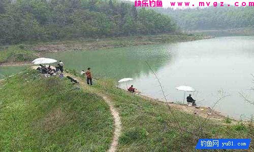 陌生水域钓鱼如何判断水里有没有鱼(图1)