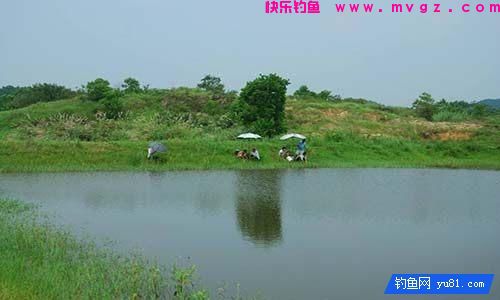 陌生水域钓鱼如何判断水里有没有鱼(图2)