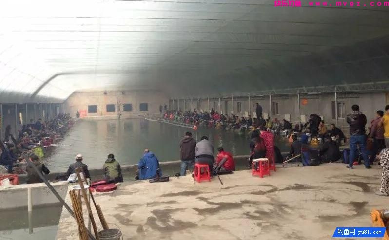 钓鱼动作不要忘了需“三轻”，好透彻！(图2)