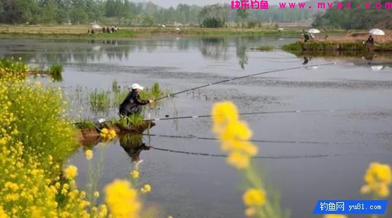 春季鱼都藏在这些地方，钓鱼黄金季节这些钓点渔获翻倍(图2)
