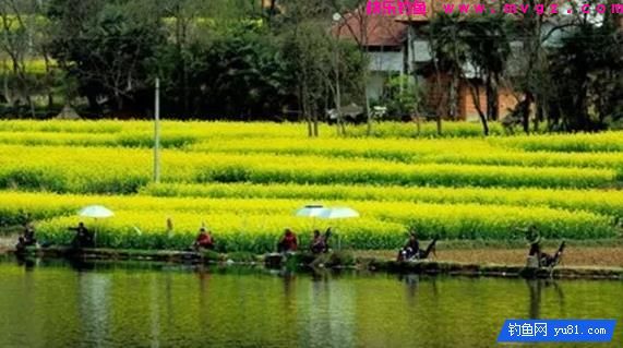 春季水库钓鲤鱼，钓位选择和垂钓技巧跟其他季节大不同(图2)