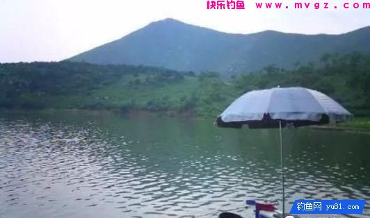 春季钓鱼怎样选择钓位？这三个问题要分清先后！(图2)
