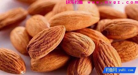在钓鱼饵料中加入这三味中药，钓鱼有奇效(图3)