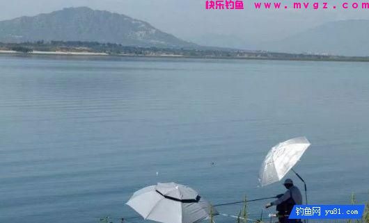 春季钓鱼怎样选择钓位？这三个问题要分清先后！(图1)