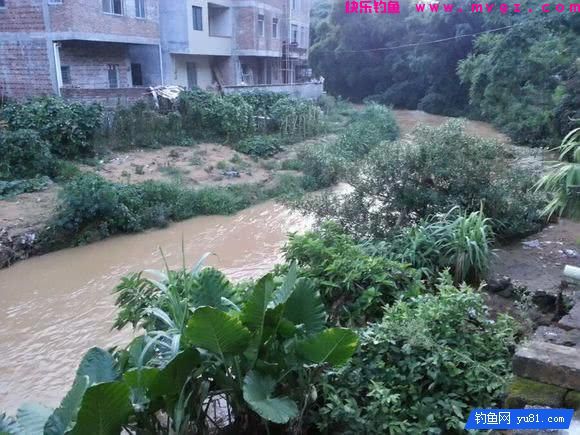 钓鱼最怕的就是刀鳅鱼, 因为它食性非常凶猛, 把钩吞进肚子里(图2)