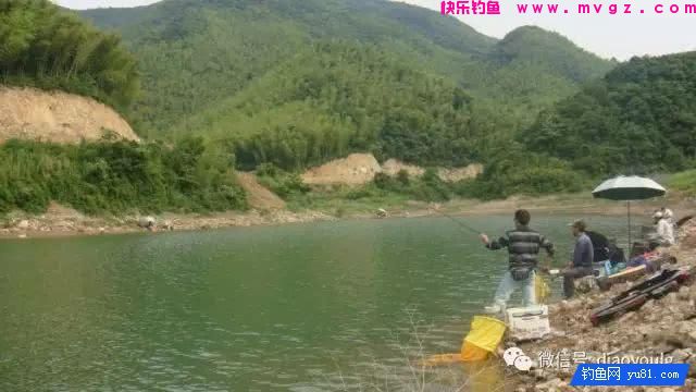 春天钓鱼的用饵之道(图1)