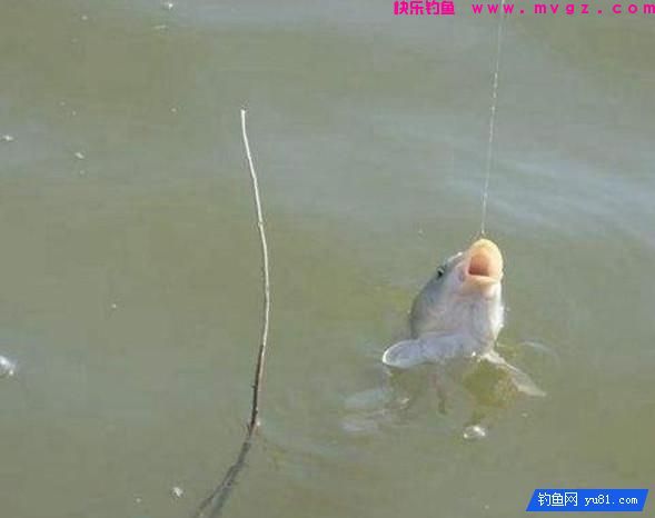 钓鱼技巧：什么是钓接口？打接口的技巧！(图1)
