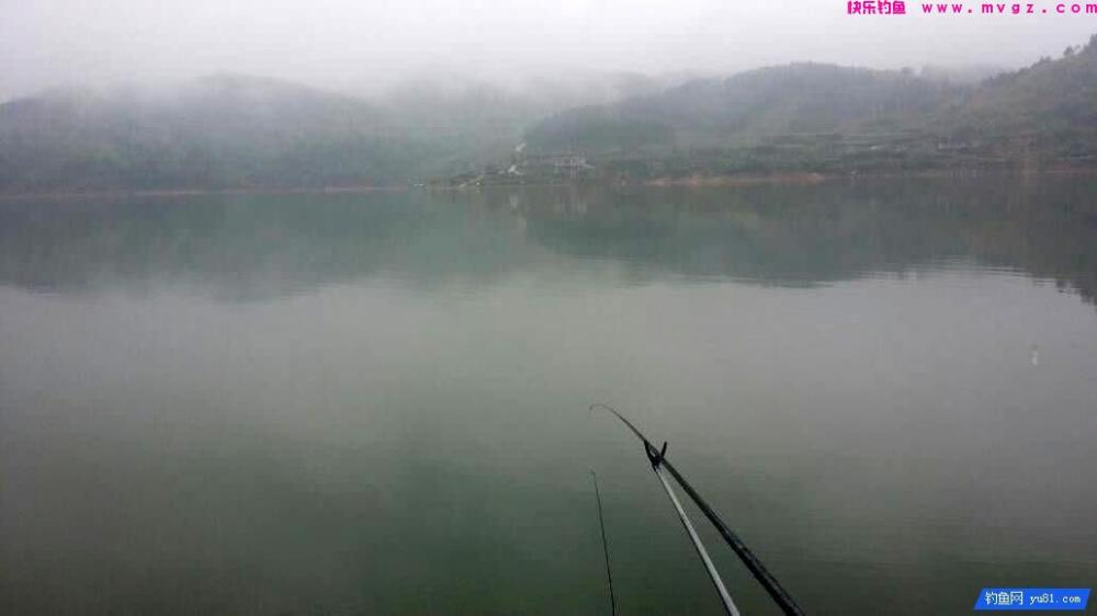很多钓鱼人喜欢钓此鱼, 鱼不怎么好吃, 手感好(图3)