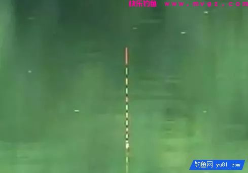 到塘边钓鱼发现鱼口轻，不知如何作钓怎么办？这样调漂就对了(图3)