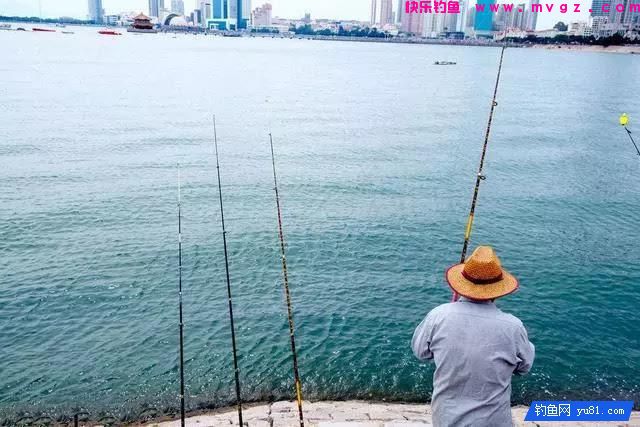钓秋鱼的三种钓法，受益终身(图2)