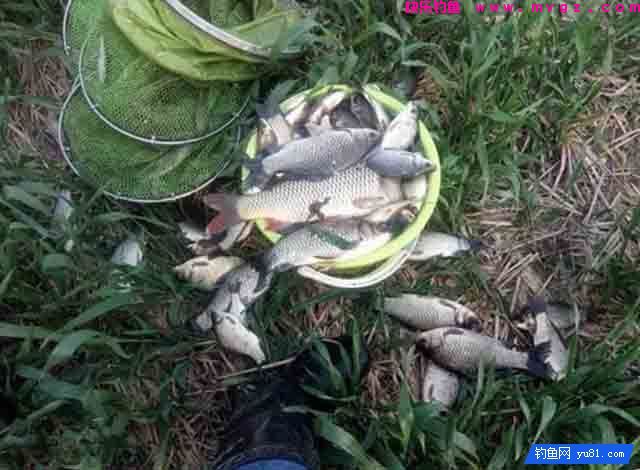 阴天钓鱼优势在哪里?(图3) 阴天钓鱼优势在哪里?(图3)