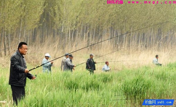 钓鱼遇到9个问题！帮你一一解决(图1)