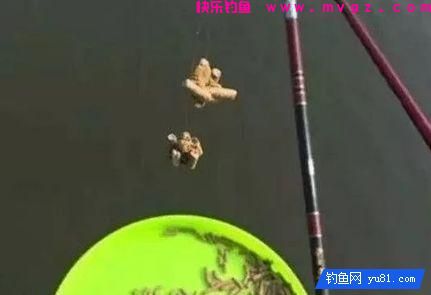 秋季黑坑如何连杆？可以从三个方面分析(图3)