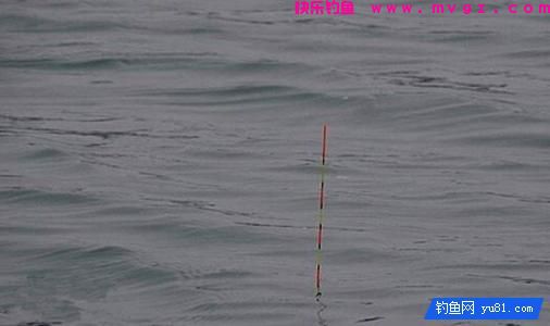 钓鱼别盲目，3招辨别水中是否有鱼！(图5)