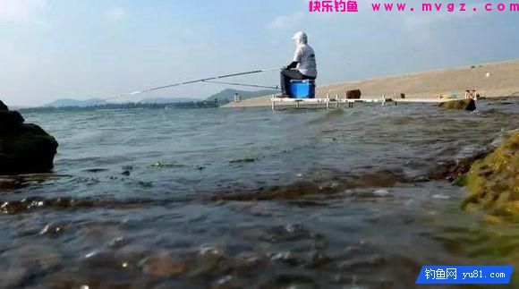 钓鱼别盲目，3招辨别水中是否有鱼！(图4)