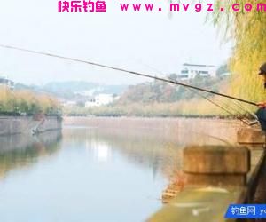 冬季稍稍设置下鲫鱼技巧，收获还是比较乐观的！