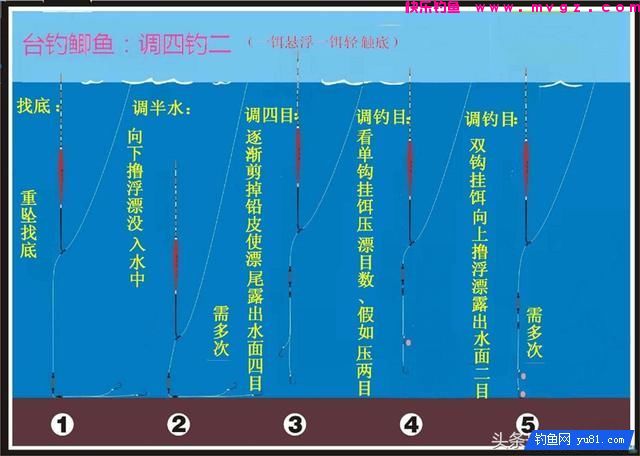 钓鱼调漂到底调几钓几？(图1)