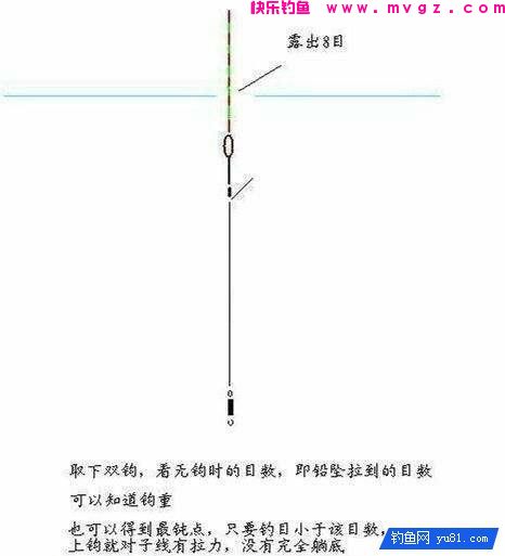 高手野钓鲫鱼调漂，调目与钓目的关系(图4)