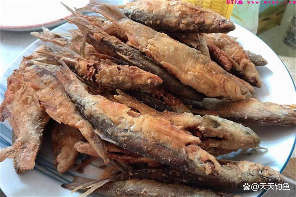 手竿野钓翘嘴，没有比这更简单的钓法(图2)