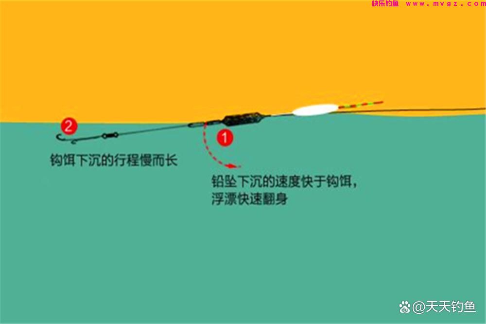 跑铅、无铅和飞铅，这些跟“铅”有关的钓法，应该如何调漂？(图5)