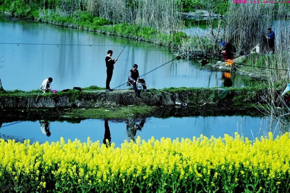 野外垂钓时,如何避免小杂鱼闹窝?教你4个方法,轻松解决!(图4) 野外垂钓时,如何避免小杂鱼闹窝?教你4个方法,轻松解决!(图4)