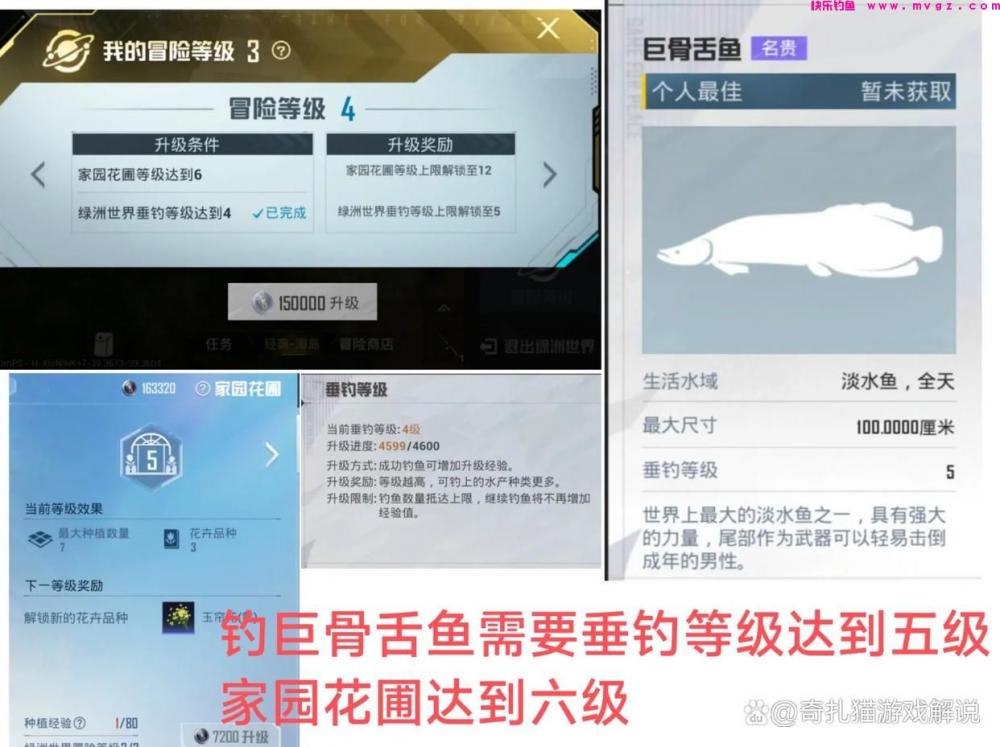 和平精英绿洲世界：除了鱼竿，你知道还有这些技巧可以助你钓鱼吗(图7)