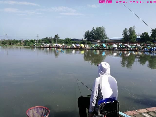 野钓转黑坑，两次都空军了，感叹两者钓法差距大(图1)