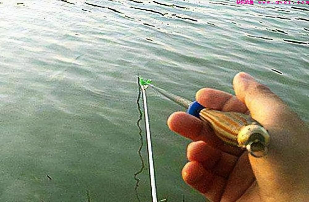 钓鱼中的十个冷知识，出乎意外又在意料中，你体验过几个？(图3)