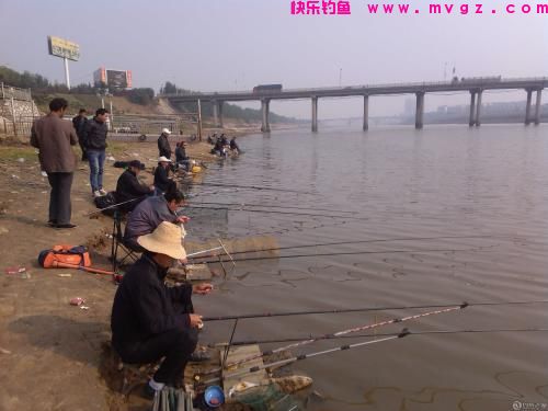 什么时候吃透了钓鱼的这5个经验技巧，新手就能升级成老手了(图1)