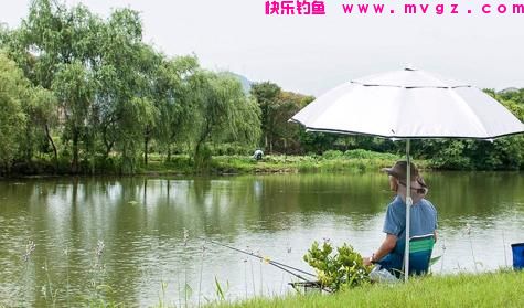 什么时候吃透了钓鱼的这5个经验技巧，新手就能升级成老手了(图3)