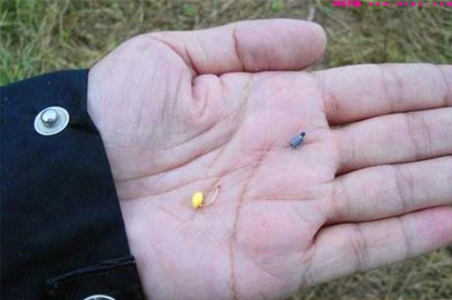 什么时候吃透了钓鱼的这5个经验技巧，新手就能升级成老手了(图7)