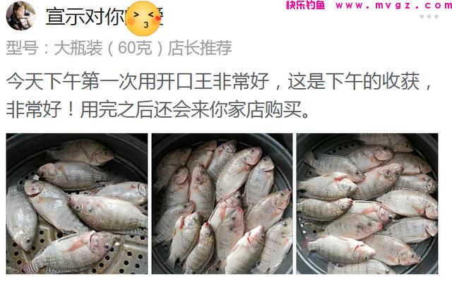 什么时候吃透了钓鱼的这5个经验技巧，新手就能升级成老手了(图14)