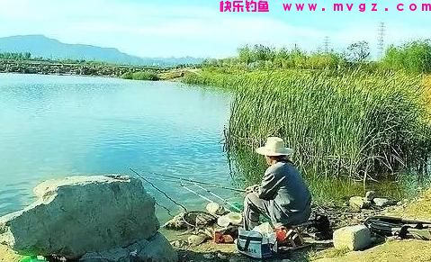 钓鱼该怎么节省成本？送你6个经验，至少能省下一半的钱！(图4)