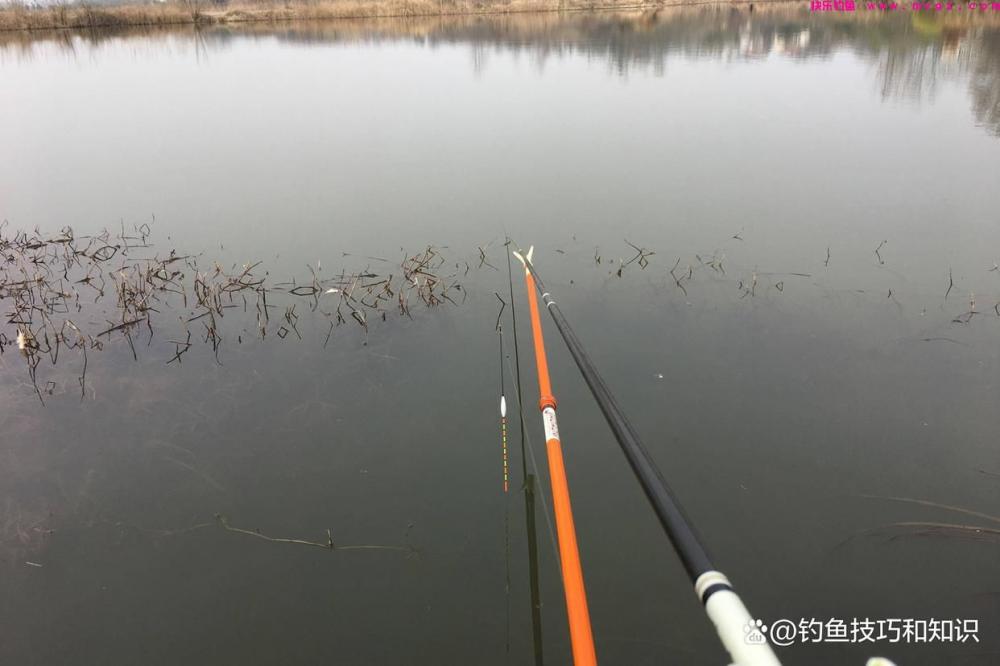 春天钓鱼的小秘诀，好用的长短竿钓法，黑坑和野钓都好用(图1)