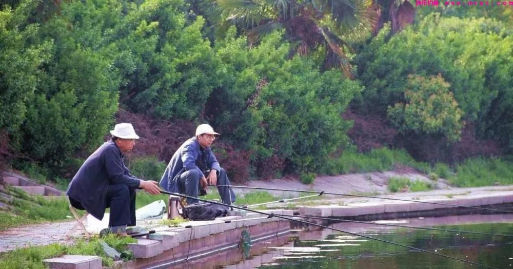 钓鱼的技能小知识(图1)