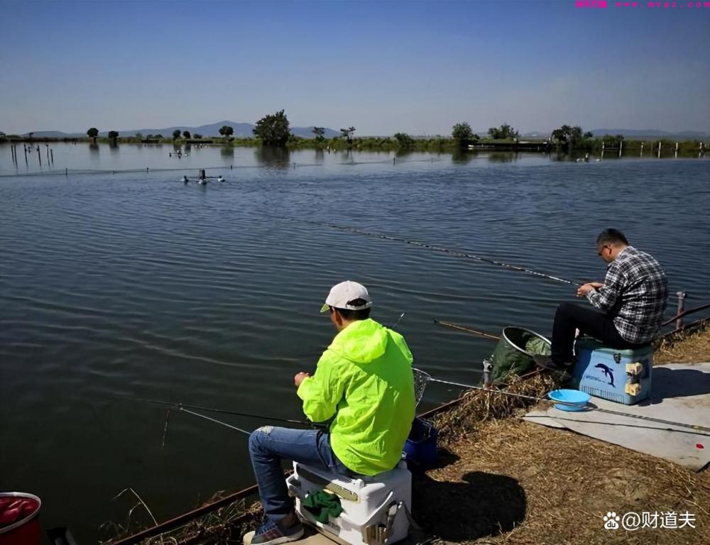 老钓友分享钓鱼经验：春季钓鱼钓深还是钓浅(图1)