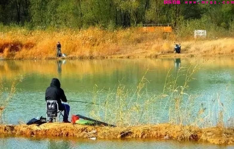 春天钓不到鱼，怪我没有早给你说这些原因和技巧(图2)