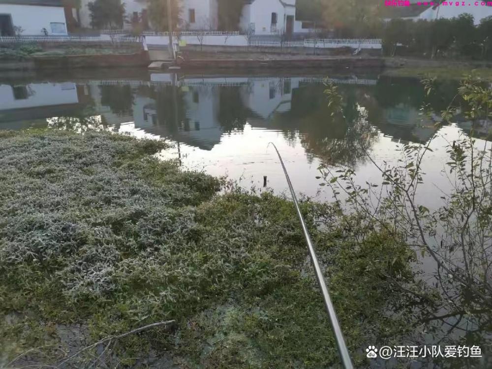 全国各地区常见钓法介绍，有没有钓友所擅长的？(图4)