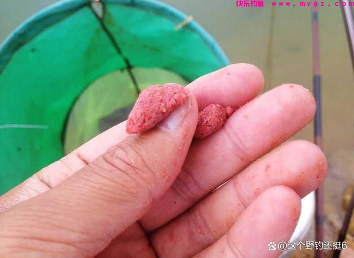 春季饵料的选择与应变！朴实经验让你轻松享受钓鱼，少走几年弯路(图3)